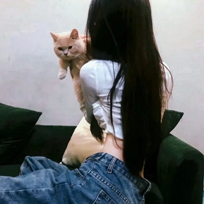 西部来的人